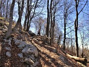 66 Sul sentiero per il Monte Tesoro